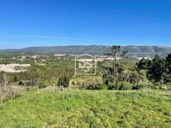 Terreno R�stico T0 - Aljubarrota, Alcoba�a, Leiria - Miniatura: 6/8