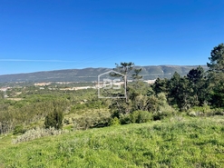 Terreno R�stico T0 - Aljubarrota, Alcoba�a, Leiria - Miniatura: 7/8