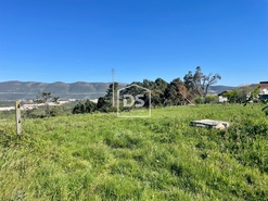 Terreno R�stico T0 - Aljubarrota, Alcoba�a, Leiria - Miniatura: 8/8