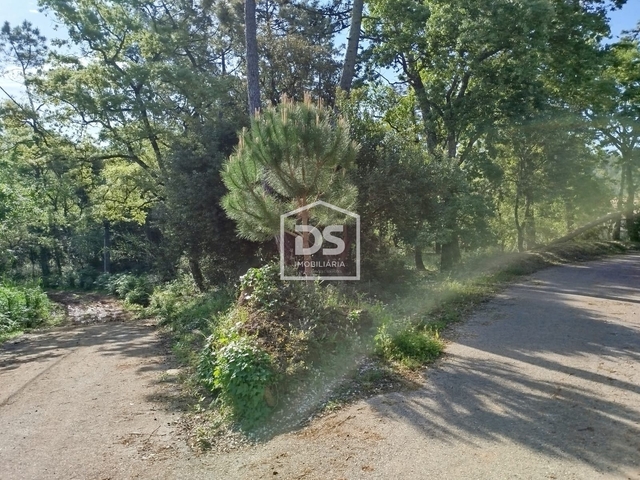 Terreno R�stico T0 - �vora de Alcoba�a, Alcoba�a, Leiria - Imagem grande