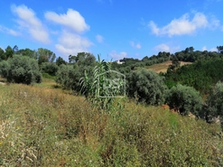 Terreno Urbano T0 - Santa Eufmia, Leiria, Leiria