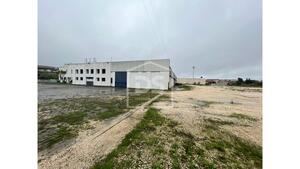 Terreno Rstico T0 - Marinha Grande, Marinha Grande, Leiria - Miniatura: 6/24