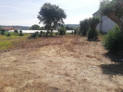 Terreno Urbano T0 - Souto da Carpalhosa, Leiria, Leiria - Miniatura: 2/4