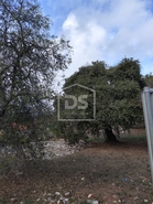 Moradia T3 - Nossa Senhora Miseric�rdias, Our�m, Santar�m - Miniatura: 1/13