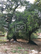 Moradia T3 - Nossa Senhora Miseric�rdias, Our�m, Santar�m - Miniatura: 5/13