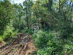 Terreno R�stico T0 - �vora de Alcoba�a, Alcoba�a, Leiria - Miniatura: 4/6