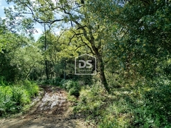 Terreno R�stico T0 - �vora de Alcoba�a, Alcoba�a, Leiria - Miniatura: 5/6