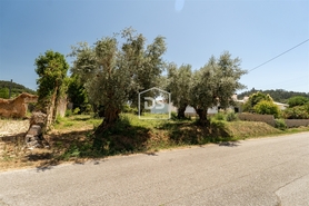 Terreno Rstico T0 - Pombal, Pombal, Leiria