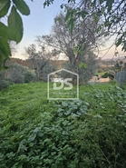 Terreno Rstico T0 - Maceira, Leiria, Leiria - Miniatura: 5/12