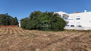 Terreno Rstico T0 - Marinha Grande, Marinha Grande, Leiria - Miniatura: 8/9