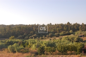 Apartamento T2 - Soure, Soure, Coimbra - Miniatura: 17/19