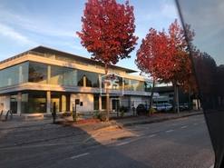 Loja T0 - Pombal, Pombal, Leiria