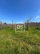 Terreno R�stico T0 - Vimeiro, Alcoba�a, Leiria