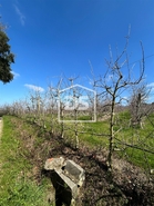 Terreno R�stico T0 - Vimeiro, Alcoba�a, Leiria - Miniatura: 1/3