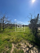 Terreno R�stico T0 - Vimeiro, Alcoba�a, Leiria - Miniatura: 2/3