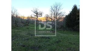Quinta T1 - Guarda, Guarda, Guarda