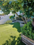 Moradia - S�, Portalegre, Portalegre - Miniatura: 54/65