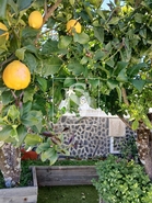 Moradia T3 - S�, Portalegre, Portalegre - Miniatura: 56/65