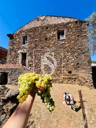 Moradia - Reguengo, Portalegre, Portalegre - Miniatura: 17/44
