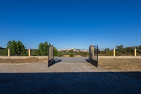 Terreno R�stico - Assun��o, Arronches, Portalegre - Miniatura: 1/13