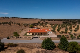 Terreno R�stico - Assun��o, Arronches, Portalegre - Miniatura: 4/13