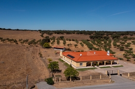 Terreno R�stico - Assun��o, Arronches, Portalegre - Miniatura: 6/13