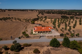 Terreno R�stico - Assun��o, Arronches, Portalegre - Miniatura: 8/13