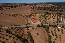 Terreno R�stico - Assun��o, Arronches, Portalegre - Miniatura: 12/13