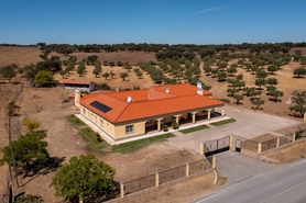 Terreno R�stico - Assun��o, Arronches, Portalegre - Miniatura: 13/13