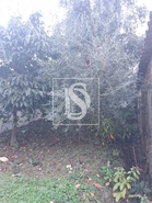 Moradia - Alegrete, Portalegre, Portalegre - Miniatura: 17/31