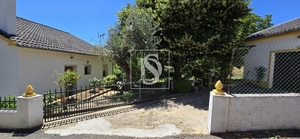 Quinta T3 - S�o Salvador da Aramenha, Marv�o, Portalegre - Miniatura: 14/17