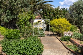 Quinta T4 - Cabe�o de Vide, Fronteira, Portalegre - Miniatura: 18/54