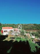 Quinta T4 - S�, Portalegre, Portalegre - Miniatura: 1/36