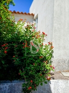 Moradia - Reguengo, Portalegre, Portalegre - Miniatura: 7/19