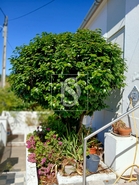 Moradia - Reguengo, Portalegre, Portalegre - Miniatura: 11/19