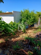 Moradia - Reguengo, Portalegre, Portalegre - Miniatura: 16/19