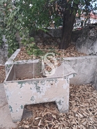 Moradia - Alegrete, Portalegre, Portalegre - Miniatura: 2/31