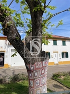 Moradia T2 - Comenda, Gavi�o, Portalegre - Miniatura: 5/33
