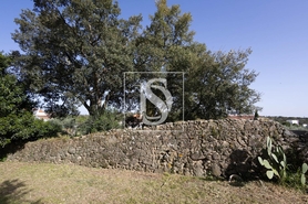 Moradia - Alagoa, Portalegre, Portalegre - Miniatura: 6/43