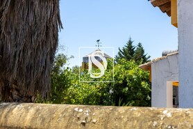 Quinta T4 - Esperan�a, Arronches, Portalegre - Miniatura: 13/35