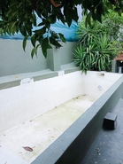 Moradia - S�, Portalegre, Portalegre - Miniatura: 25/33