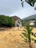 Moradia - Reguengo, Portalegre, Portalegre - Miniatura: 24/46