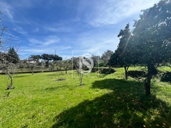 Moradia - Reguengo, Portalegre, Portalegre - Miniatura: 43/46