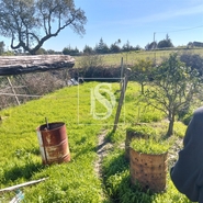Moradia T3 - Comenda, Gavi�o, Portalegre - Miniatura: 26/41
