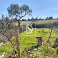 Moradia T3 - Comenda, Gavi�o, Portalegre - Miniatura: 27/41