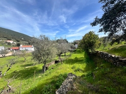 Moradia - Reguengo, Portalegre, Portalegre - Miniatura: 13/41