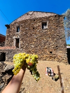 Moradia - Reguengo, Portalegre, Portalegre - Miniatura: 23/41