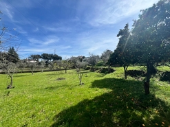 Moradia - Reguengo, Portalegre, Portalegre - Miniatura: 32/41