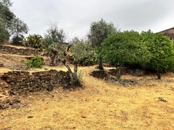 Moradia - Reguengo, Portalegre, Portalegre - Miniatura: 41/41