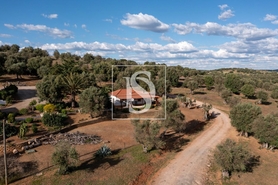 Quinta T4 - Cabe�o de Vide, Fronteira, Portalegre - Miniatura: 15/54